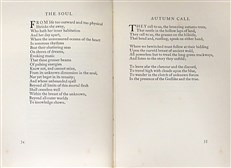 Of Earth and the Spirit