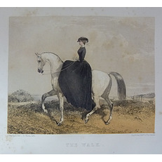 The Habit And The Horse A Treatise on Female Equitition