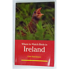 Where To Watch Birds in Ireland