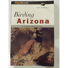 Birding Arizona