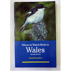 Where To Watch Birds In Wales 