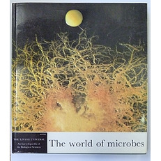 The World Of Microbes