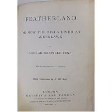 Featherland Or How The Birds Lived At Greenlawn 