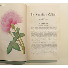 The Florticultural Cabinet 1856-1858