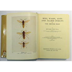 Bee's Wasps, Ants & Allied Insects of the British Isles