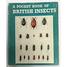 A Pocket Books Of Insects