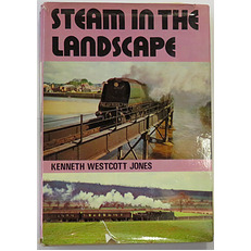 Steam In The Landscape