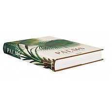 Martius. The Book of Palms