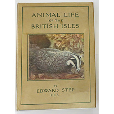 The Wayside And Woodland Series Animal Life Of The British Isles 