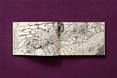 Limited Edition David Hockney. 220 For 2020. Art Edition D (No. 301-400) 'My Second Drawing of Beuvron-en-Auge'