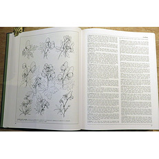 The New Royal Horticultural Society Dictionary of Gardening. Folio Boxed Set in Four Volumes 