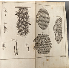 A Treatise on the Management of Bees;