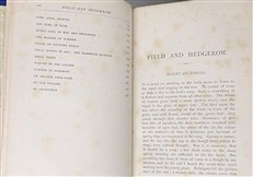Field and Hedgerow being The Last Essays of Richard Jefferies