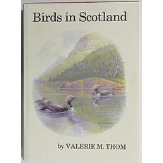 Birds In Scotland