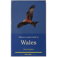 Where to watch birds in Wales