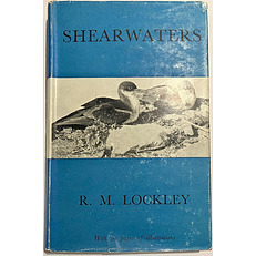 Shearwaters