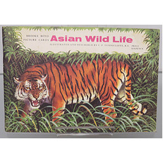 Asian Wild Life