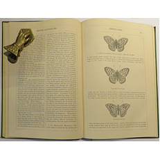 An Illustrated Natural History Of British Butterflies