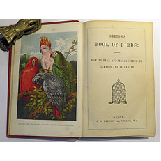 Beeton's Book Of Birds; Showing How To Rear And Mange Them In Sickness And In Health 