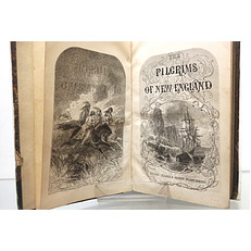 The Pilgrims of New England: A Tale of the Early American Settlers