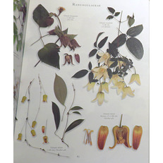 The Botanical Garden Two Volume Boxed Set 