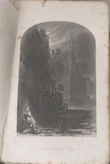 Little Dorrit With Illustrations by H.K. Browne Original Parts, with parts missing 