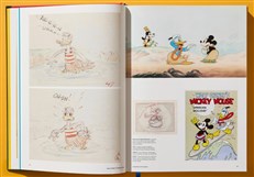 Walt Disney's Donald Duck The Ultimate History 