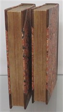 Robert Of Gloucester's Chronicle (Two Volumes)