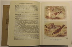 The Birds Of The British Isles And Their Eggs in three volumes 