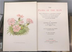 The Flora of the Alps