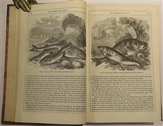 Orr's Circle of the Sciences. A Series of Treatises on the Principles of Science with Their Application to Practical Pursuits Complete in Nine Volumes 