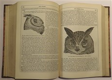 Orr's Circle of the Sciences. A Series of Treatises on the Principles of Science with Their Application to Practical Pursuits Complete in Nine Volumes 