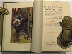 In The Lion's Mouth 