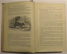 The Swiss Family Robinson Or, The Adventures Of A Shipwrecked Family On An Uninhabited Island Near New Guinea 