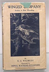 Winged Company Studies in Bird Watching 