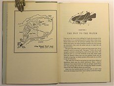 A Carp Pool (Wood Pool) And How To Fish It 