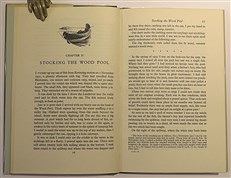 A Carp Pool (Wood Pool) And How To Fish It 