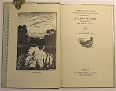 A Carp Pool (Wood Pool) And How To Fish It 