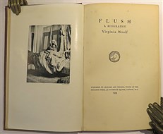 Flush A Biography 