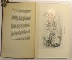 Flush A Biography 