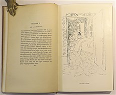 Flush A Biography 
