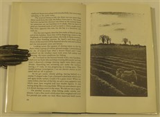 The Quiet Fields 'BB'