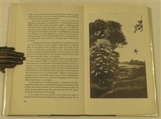 The Quiet Fields 'BB'