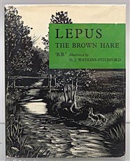 Lepus The Brown Hare 