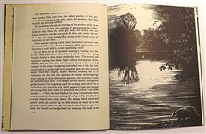 The Badgers Of Bearshanks 