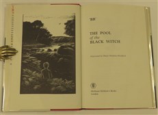 The Pool Of The Black Witch