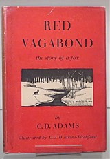 Red Vagabond the story of a fox 