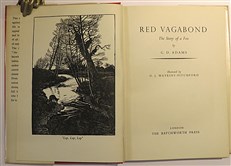 Red Vagabond the story of a fox 