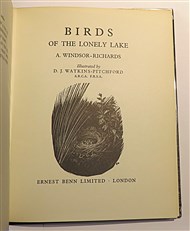The Birds Of The Lonely Lake