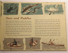 Ships how they sail A Country Life Book 